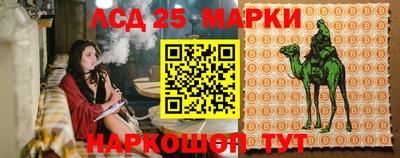 индика Аша