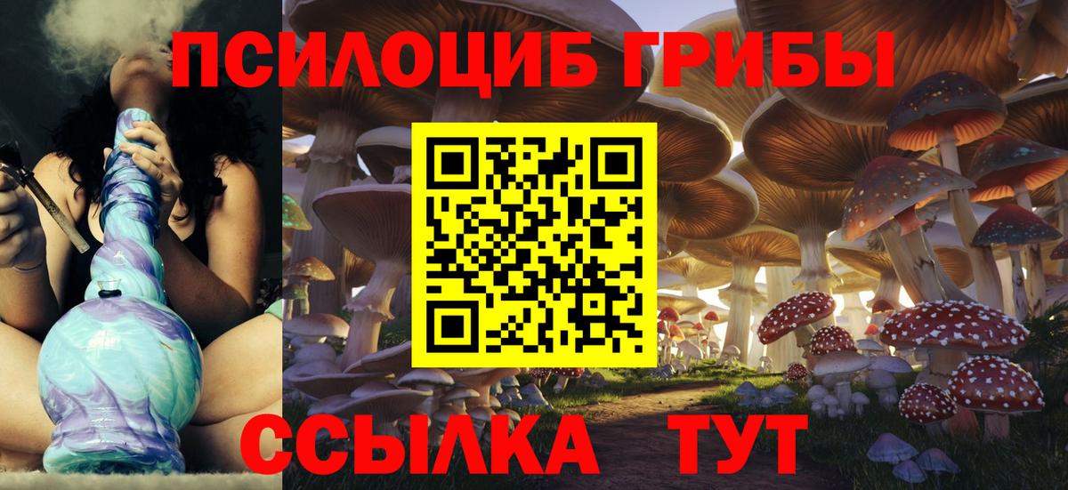 Галлюциногенные грибы Psilocybine cubensis Полевской